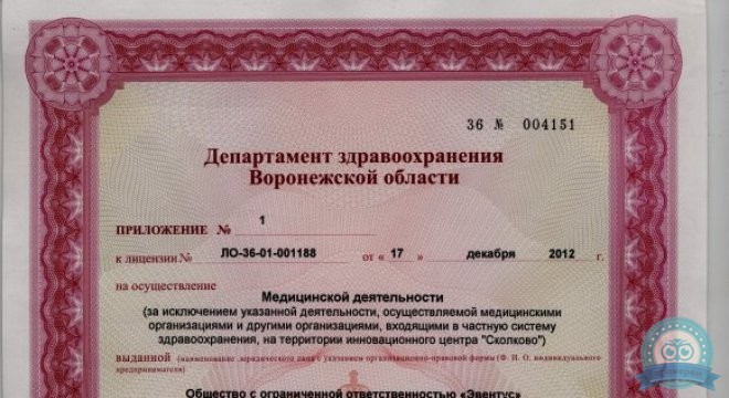 Элпис